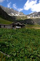 Al Rifugio Taglaferri salendo dalla Diga-Valle del Gleno il 28 giugno 2009 - FOTOGALLERY